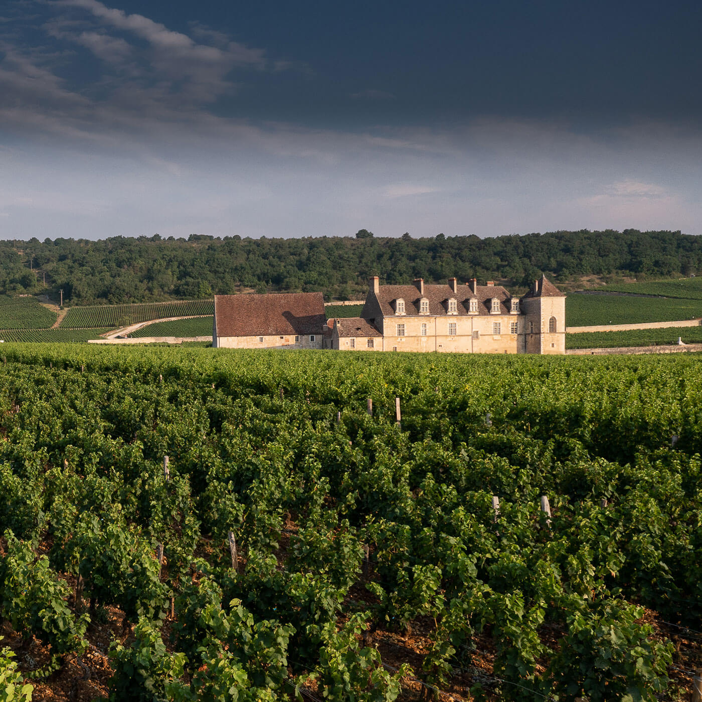 Domaine Evenstad - Grand Vin de Bourgogne, Un Vignoble d'Exception